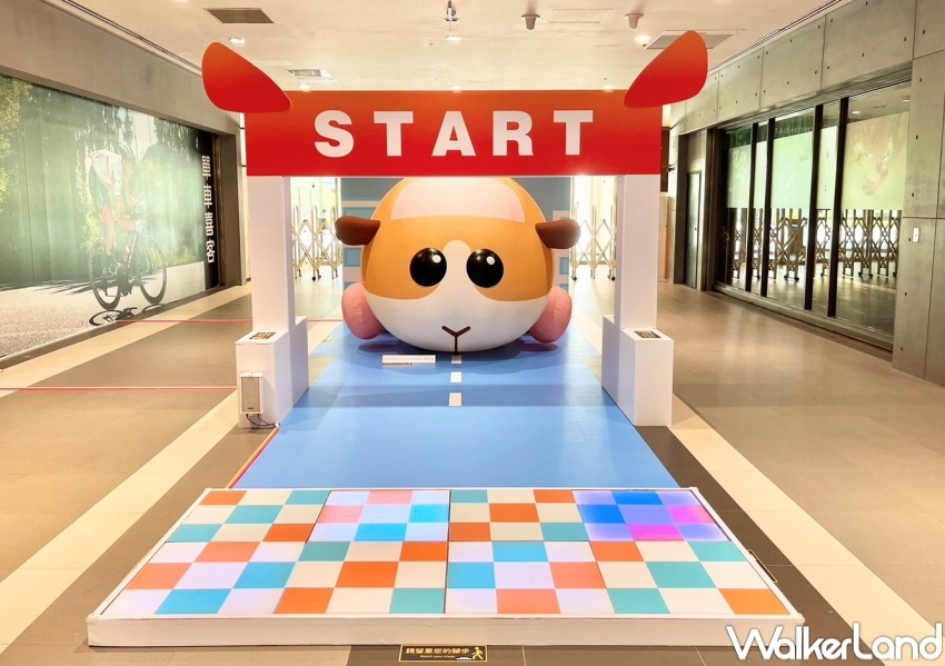 MITSUI OUTLET PARK 天竺鼠車車快閃活動 / WalkerLand窩客島整理提供 未經許可，不得轉載