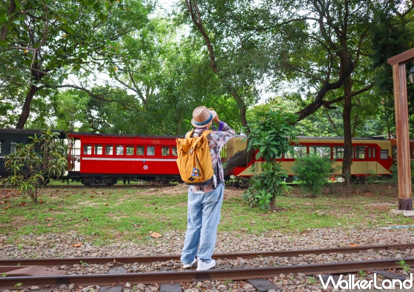 交通部觀光局「凰金」樂齡旅遊 / WalkerLand窩客島提供 未經許可，不得轉載