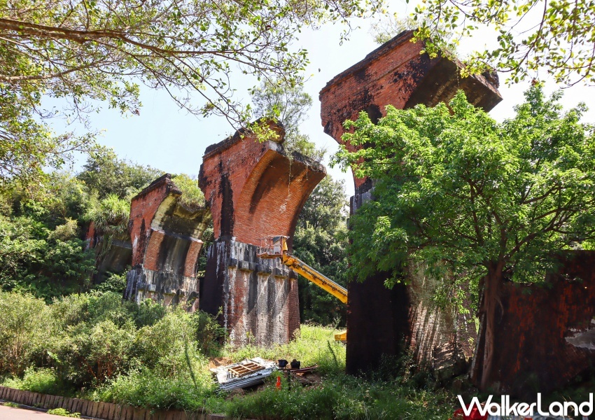 交通部觀光局「凰金」樂齡旅遊 / WalkerLand窩客島提供 未經許可，不得轉載