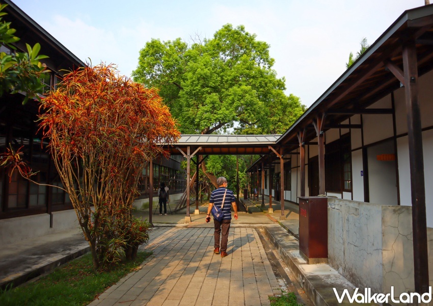 交通部觀光局「凰金」樂齡旅遊 / WalkerLand窩客島提供 未經許可，不得轉載