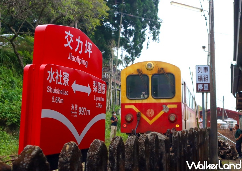交通部觀光局「凰金」樂齡旅遊 / WalkerLand窩客島提供 未經許可，不得轉載