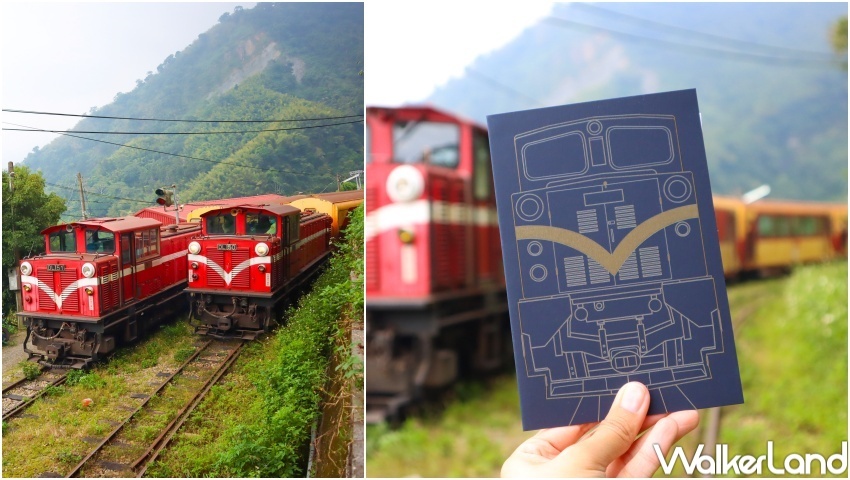 交通部觀光局「凰金」樂齡旅遊 / WalkerLand窩客島提供 未經許可，不得轉載