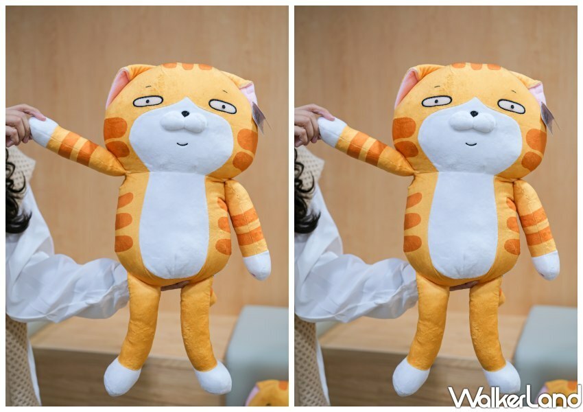 白爛貓的Chill意日常 七週年期間限定店 / WalkerLand窩客島整理提供 未經許可不可轉載