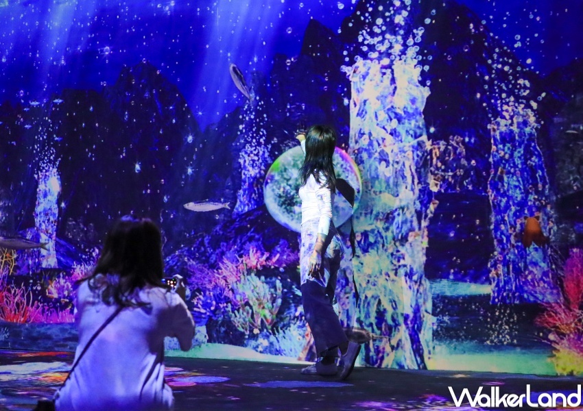 NAKED OCEAN IN TAIPEI 光之影海洋展 / WalkerLand窩客島提供 未經許可,不得轉載 NAKED OCEAN IN TAIPEI 光之影海洋展 / WalkerLand窩客島提供 未經許可,不得轉載