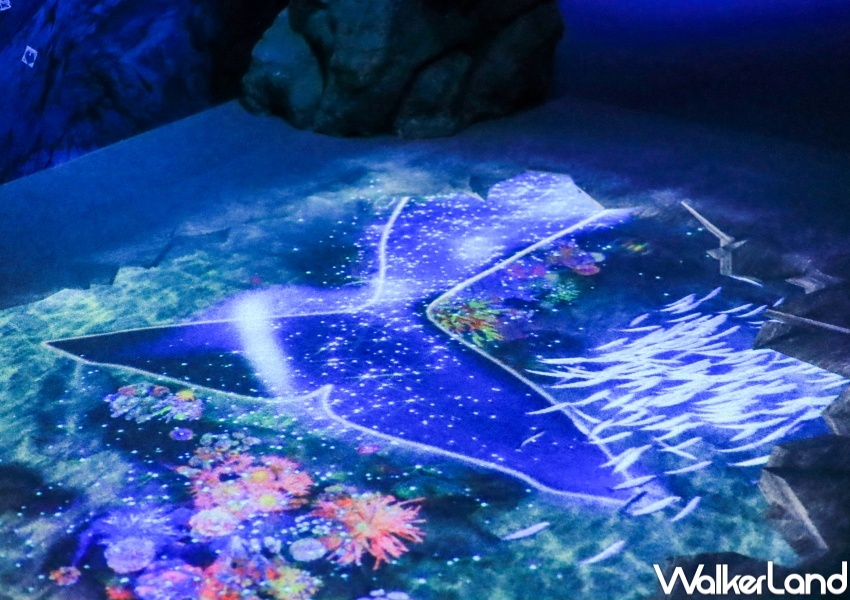 NAKED OCEAN IN TAIPEI 光之影海洋展 / WalkerLand窩客島提供 未經許可,不得轉載 NAKED OCEAN IN TAIPEI 光之影海洋展 / WalkerLand窩客島提供 未經許可,不得轉載