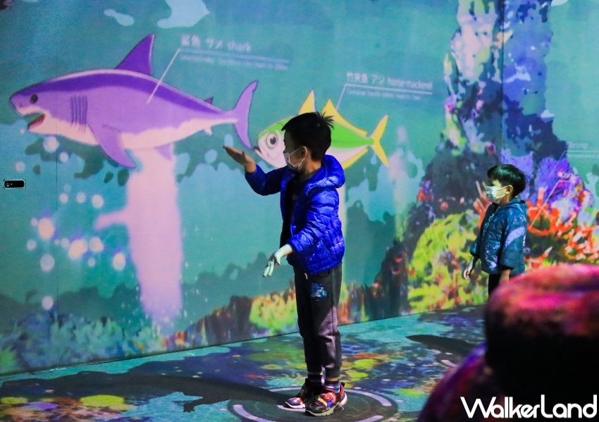 NAKED OCEAN IN TAIPEI 光之影海洋展 / WalkerLand窩客島提供 未經許可,不得轉載 NAKED OCEAN IN TAIPEI 光之影海洋展 / WalkerLand窩客島提供 未經許可,不得轉載