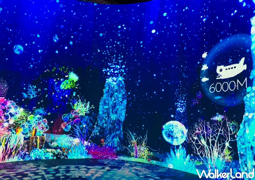 NAKED OCEAN IN TAIPEI 光之影海洋展 / WalkerLand窩客島提供 未經許可,不得轉載 NAKED OCEAN IN TAIPEI 光之影海洋展 / WalkerLand窩客島提供 未經許可,不得轉載