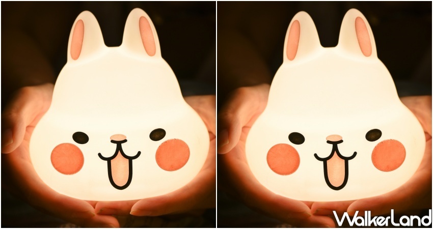 阿華田 巧克力麥芽蛋捲禮盒 / WalkerLand窩客島整理提供 未經許可，不得轉載