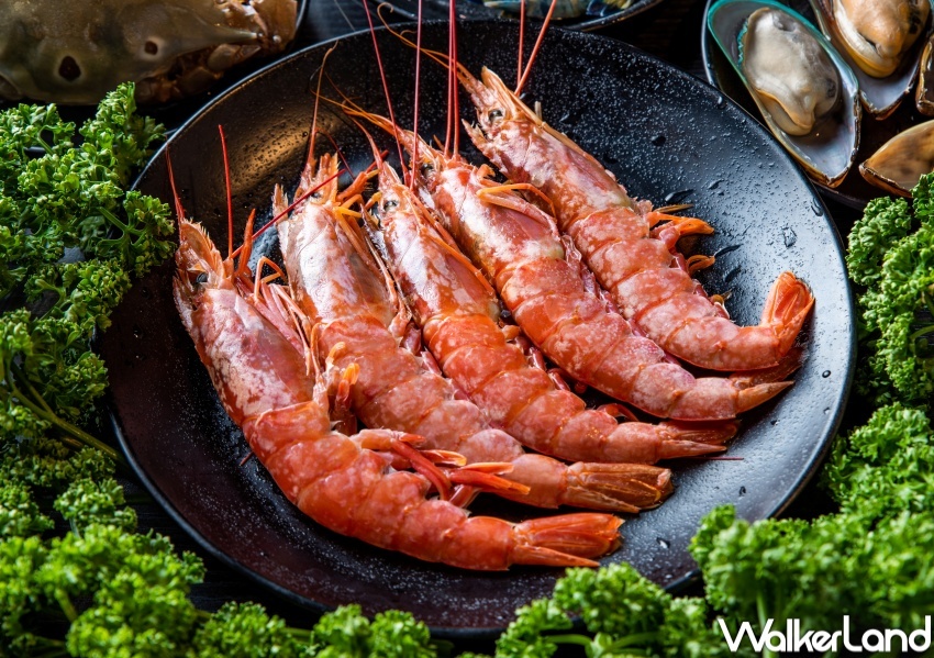 千葉火鍋 / WalkerLand窩客島整理提供 未經許可，不得轉載