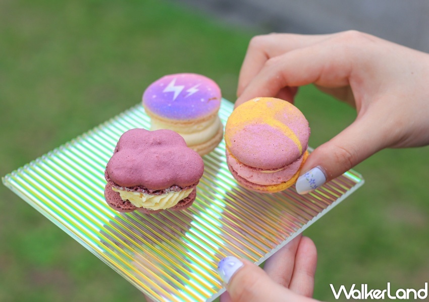 OPPO大人的摺學屋 / WalkerLand窩客島提供 未經許可,不得轉載 OPPO大人的摺學屋 / WalkerLand窩客島提供 未經許可,不得轉載