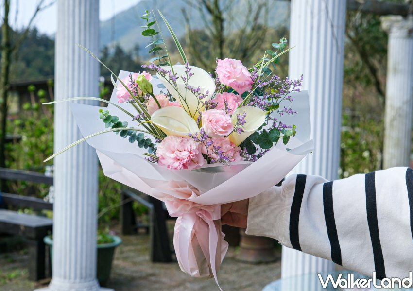 竹子湖海芋 / WalkerLand窩客島整理提供 未經許可不可轉載 竹子湖海芋 / WalkerLand窩客島整理提供 未經許可不可轉載