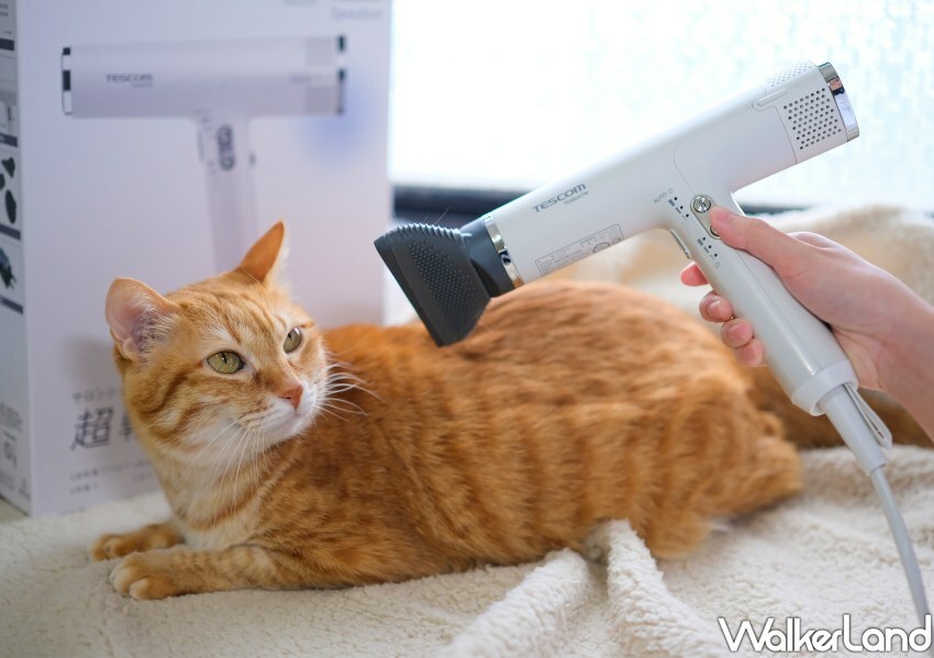 TESCOM「BLDC專業級負離子吹風機TD880ATW」/ WalkerLand窩客島整理提供 未經同意不可轉載