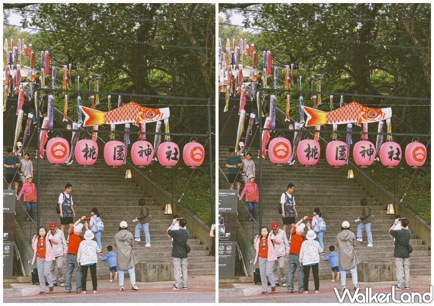 桃園神社「鯉魚流光祭り」/ WalkerLand窩客島整理提供 未經同意不可轉載