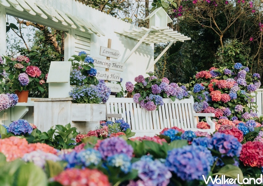 薰衣草森林 / WalkerLand窩客島整理提供 未經許可,不得轉載 薰衣草森林 / WalkerLand窩客島整理提供 未經許可,不得轉載