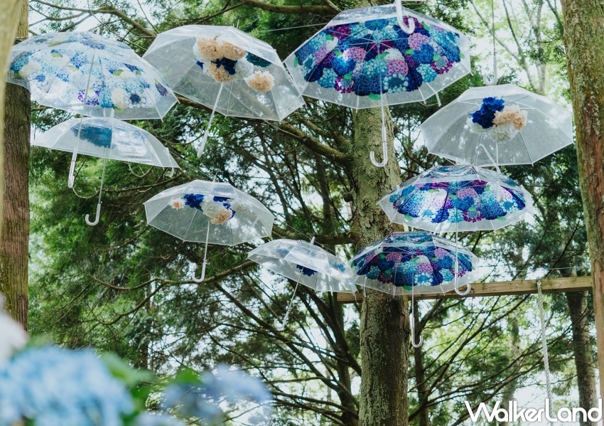 薰衣草森林 / WalkerLand窩客島整理提供 未經許可,不得轉載 薰衣草森林 / WalkerLand窩客島整理提供 未經許可,不得轉載