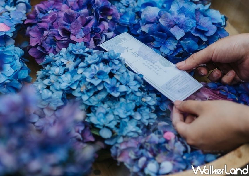 薰衣草森林 / WalkerLand窩客島整理提供 未經許可,不得轉載 薰衣草森林 / WalkerLand窩客島整理提供 未經許可,不得轉載