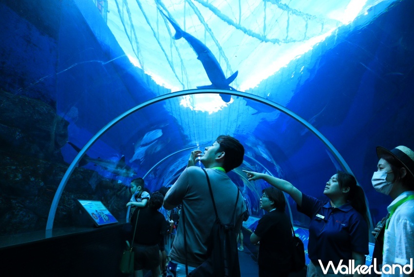 新加坡名勝世界推薦玩法 / WalkerLand窩客島提供 未經許可，不得轉載