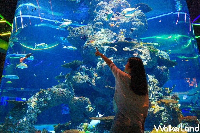 新加坡名勝世界推薦玩法 / WalkerLand窩客島提供 未經許可，不得轉載