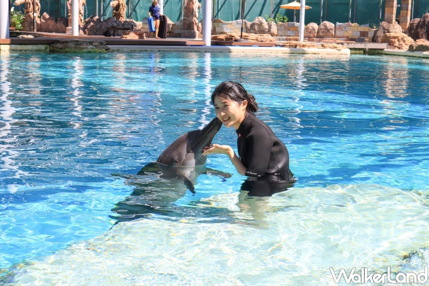 新加坡名勝世界推薦玩法 / WalkerLand窩客島提供 未經許可，不得轉載