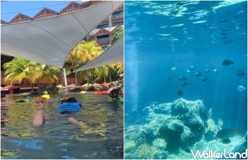 新加坡名勝世界推薦玩法 / WalkerLand窩客島提供 未經許可，不得轉載