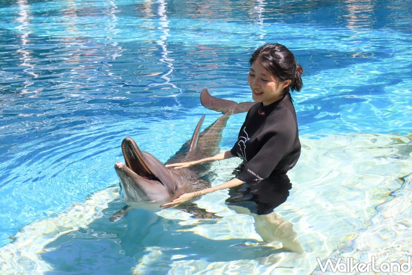 新加坡名勝世界推薦玩法 / WalkerLand窩客島提供 未經許可，不得轉載