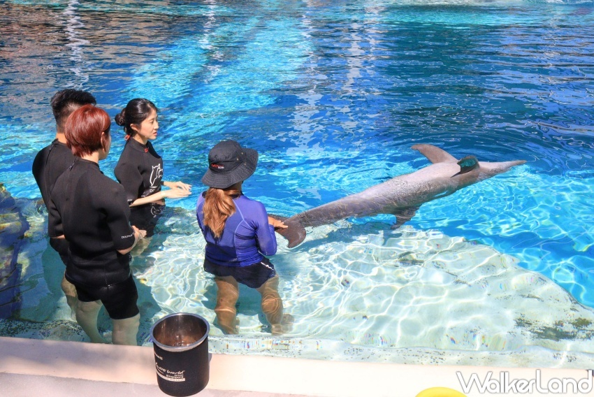 新加坡名勝世界推薦玩法 / WalkerLand窩客島提供 未經許可，不得轉載