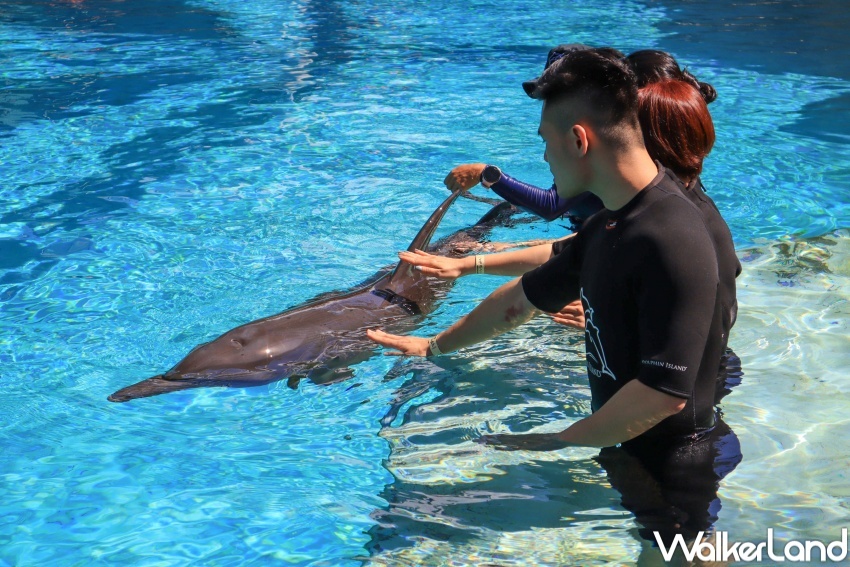 新加坡名勝世界推薦玩法 / WalkerLand窩客島提供 未經許可，不得轉載