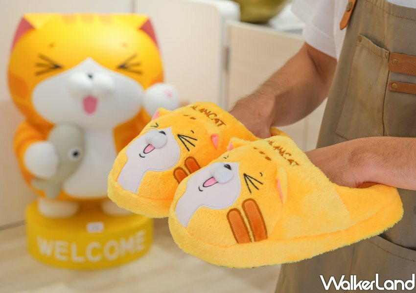 板橋「白爛貓雜貨舖」/ WalkerLand窩客島整理提供 未經同意不可轉載