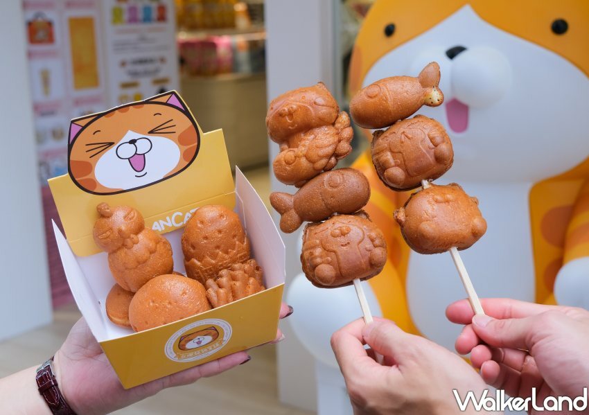 板橋「白爛貓雜貨舖」/ WalkerLand窩客島整理提供 未經同意不可轉載