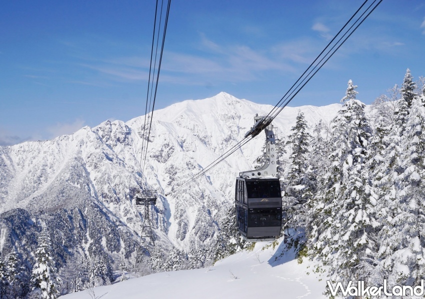 星宇航空 台北-名古屋航班資訊/WalkerLand窩客島整理提供 未經許可不可轉載