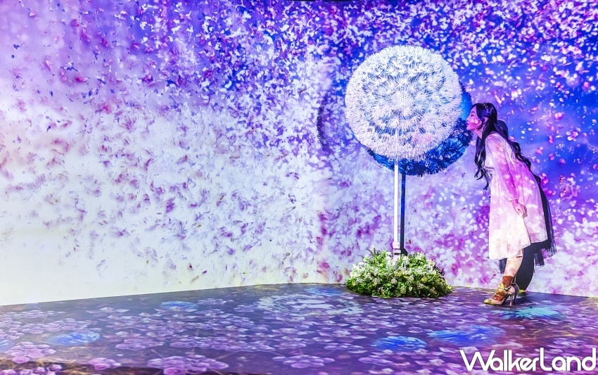 NAKED FLOWERS花之舞光影展 蒲公英  / WalkerLand窩客島整理提供 未經許可，不得轉載