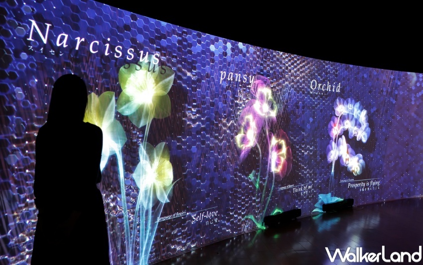 NAKED FLOWERS花之舞光影展 展區  / WalkerLand窩客島整理提供 未經許可，不得轉載