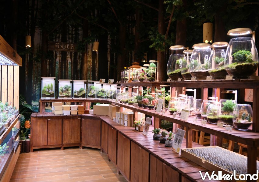 Wooderful life 木育森林新店裕隆城 / WalkerLand窩客島整理提供 未經許可不可轉載