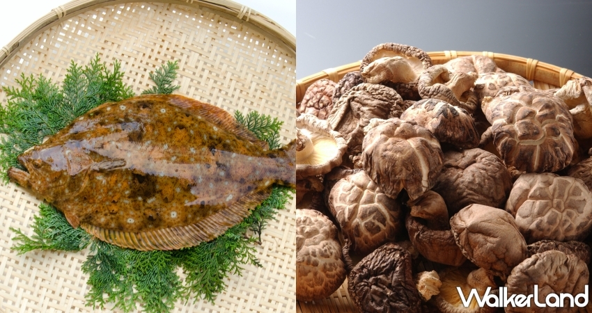 日本溫泉之最「大分縣」必吃物產一次看 日本溫泉之最「大分縣」必吃物產一次看