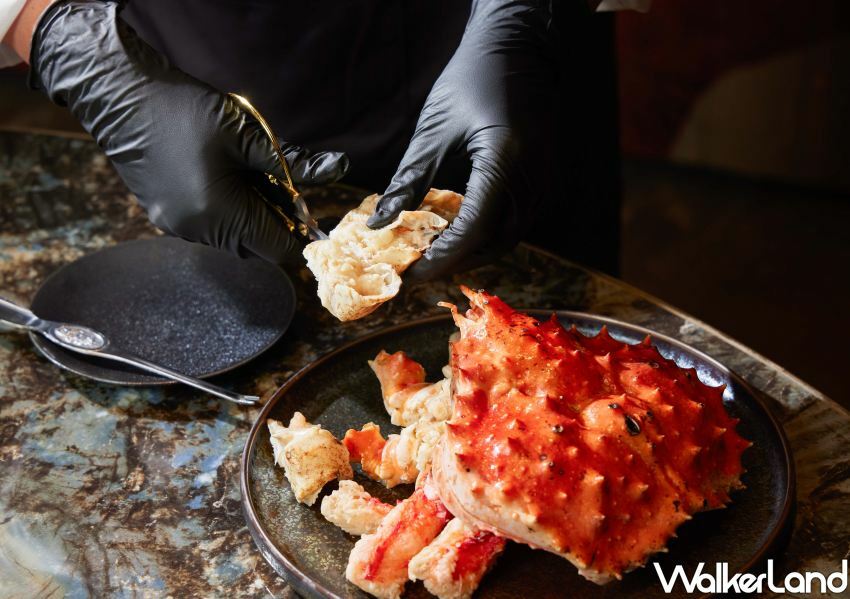 黑毛屋招待所嘉義 日本仲居式服務  / WalkerLand窩客島整理提供 未經許可不可轉載