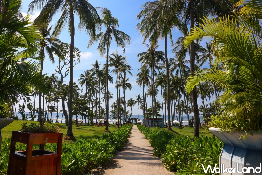 越捷航空直飛富國島 / WalkerLand窩客島整理提供 未經許可，不得轉載