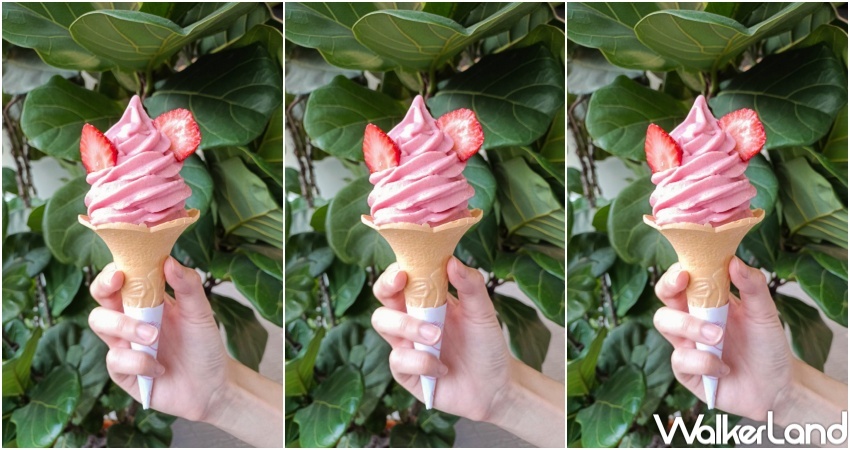 大苑子草莓季X折田菓舖 快閃店  / WalkerLand窩客島整理提供 未經許可，不得轉載