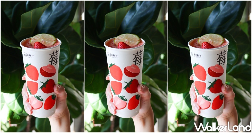 大苑子草莓季X折田菓舖 快閃店  / WalkerLand窩客島整理提供 未經許可，不得轉載
