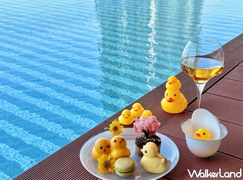 承億小鴨有私人艇、華園與千隻小鴨共游、高雄漢來小鴨美食秀