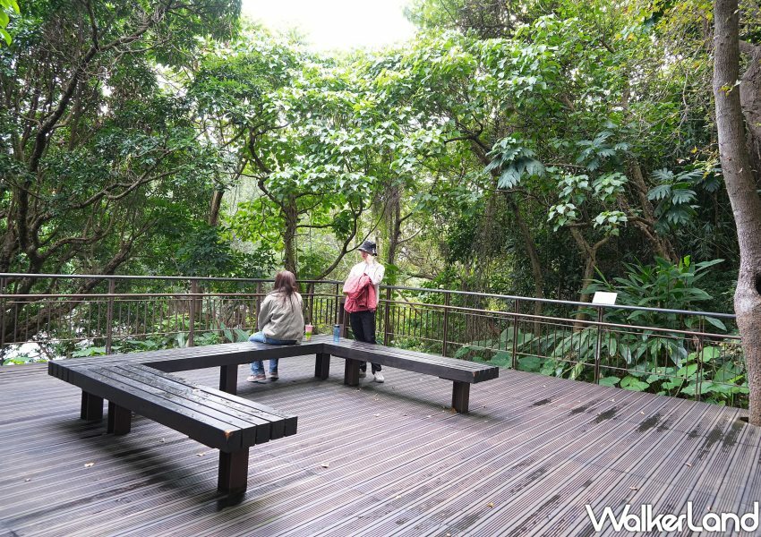 台北公館小觀音山木棧道 / WalkerLand窩客島整理提供 未經許可不可轉載。