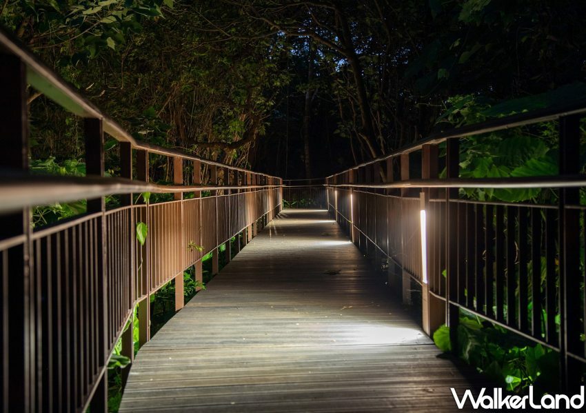 台北公館小觀音山木棧道 / WalkerLand窩客島整理提供 未經許可不可轉載。