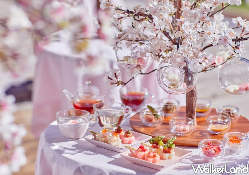 星宇航空、星野集團北海道包機/ WalkerLand窩客島整理提供 未經許可不可轉載。 星宇航空、星野集團北海道包機/ WalkerLand窩客島整理提供 未經許可不可轉載。