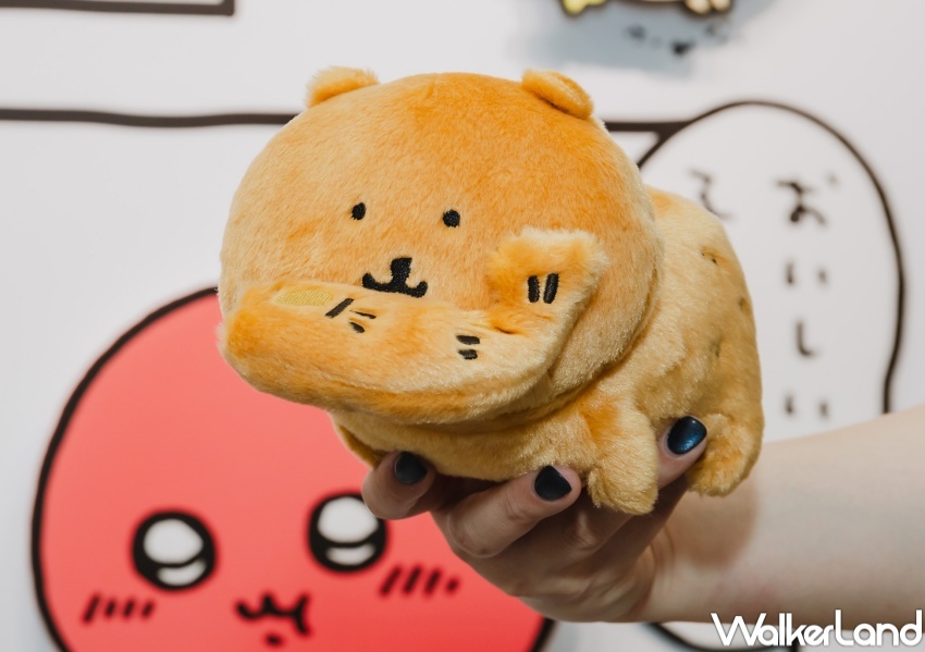 nagano market POP UP SHOP  / WalkerLand窩客島整理提供 未經許可，不得轉載