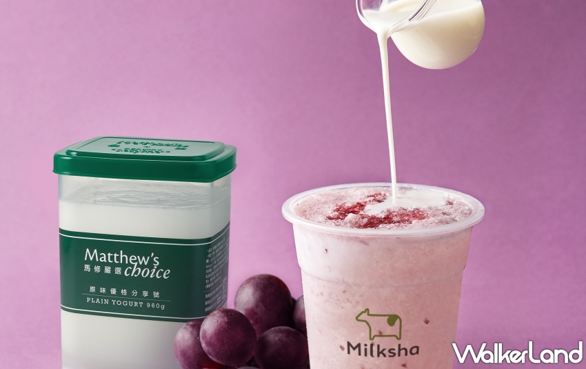 迷客夏葡萄初戀季 迷客夏葡萄初戀季