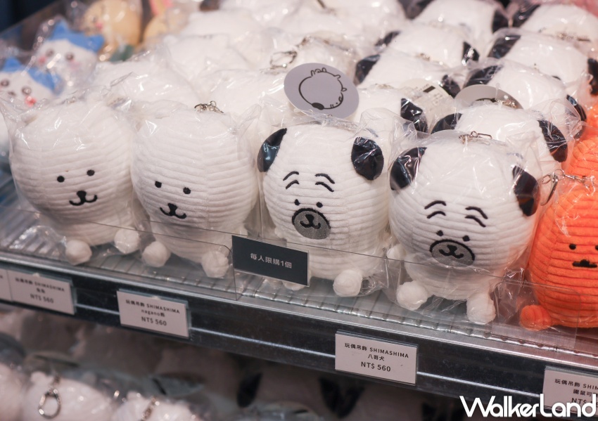 nagano market POP UP SHOP  / WalkerLand窩客島整理提供 未經許可，不得轉載