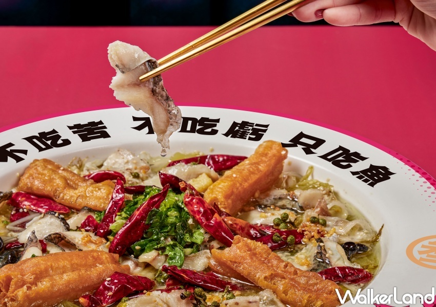 叁加叁 鴛鴦泡椒酸菜魚 台中麗寶店  / WalkerLand窩客島整理提供 未經許可，不得轉載