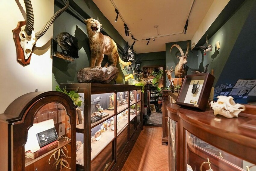 台南特色打卡點:仰角舶物yang jeaw/ WalkerLand窩客島整理提供 未經許可不可轉載 台南特色打卡點:仰角舶物yang jeaw/ WalkerLand窩客島整理提供 未經許可不可轉載