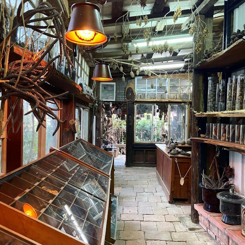 台南特色打卡點:千畦種子博物館/ WalkerLand窩客島整理提供 未經許可不可轉載 台南特色打卡點:千畦種子博物館/ WalkerLand窩客島整理提供 未經許可不可轉載