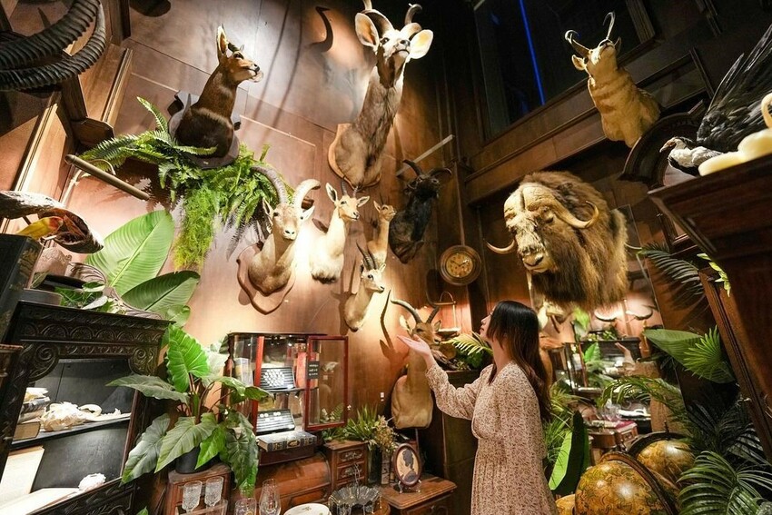 台南特色打卡點:仰角舶物yang jeaw/ WalkerLand窩客島整理提供 未經許可不可轉載 台南特色打卡點:仰角舶物yang jeaw/ WalkerLand窩客島整理提供 未經許可不可轉載