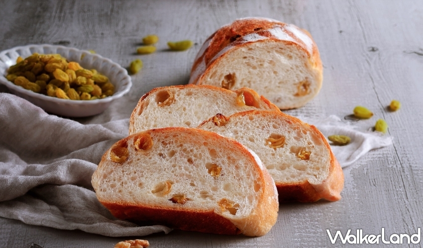 Bellopane貝洛邦 限定新品